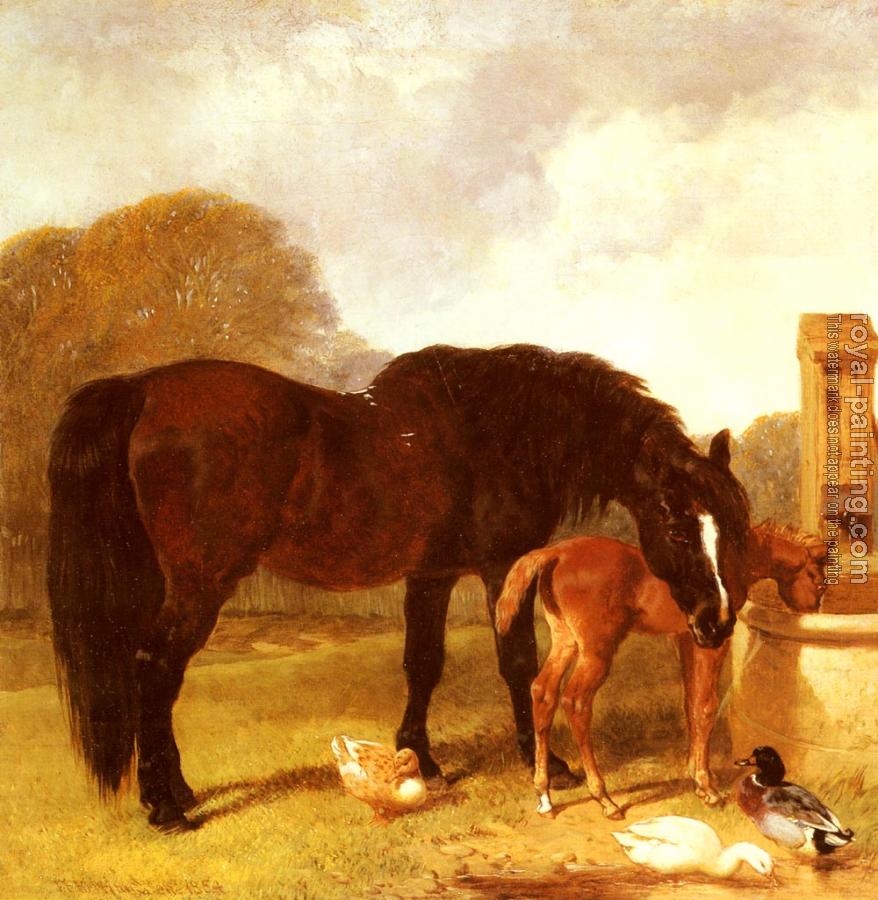 John Frederick Jr Herring : Horse and Foal watering at a trough